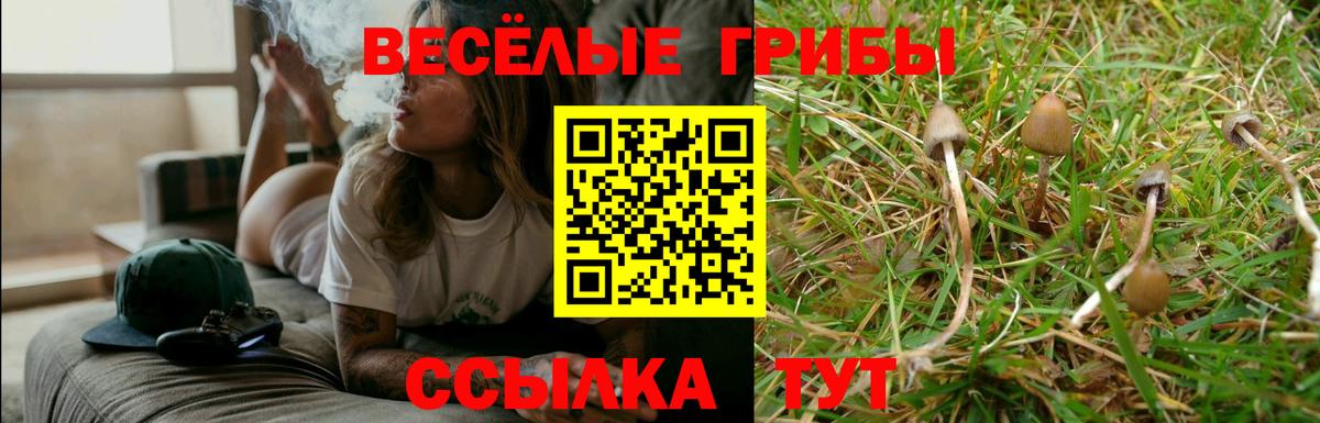 где продают   Галлюциногенные грибы мицелий  Вход с VPN  Стрежевой 